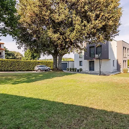 Modern House With Big Garden And Pool 普拉
